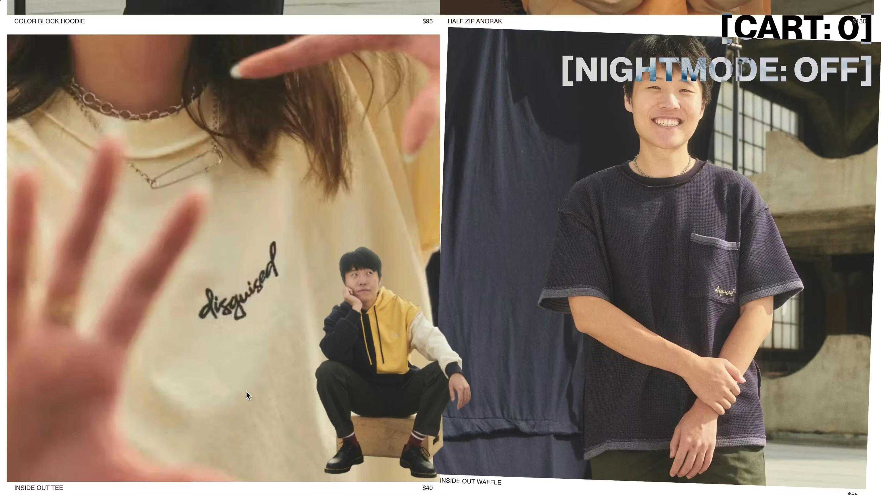 DISGUISED Project Image