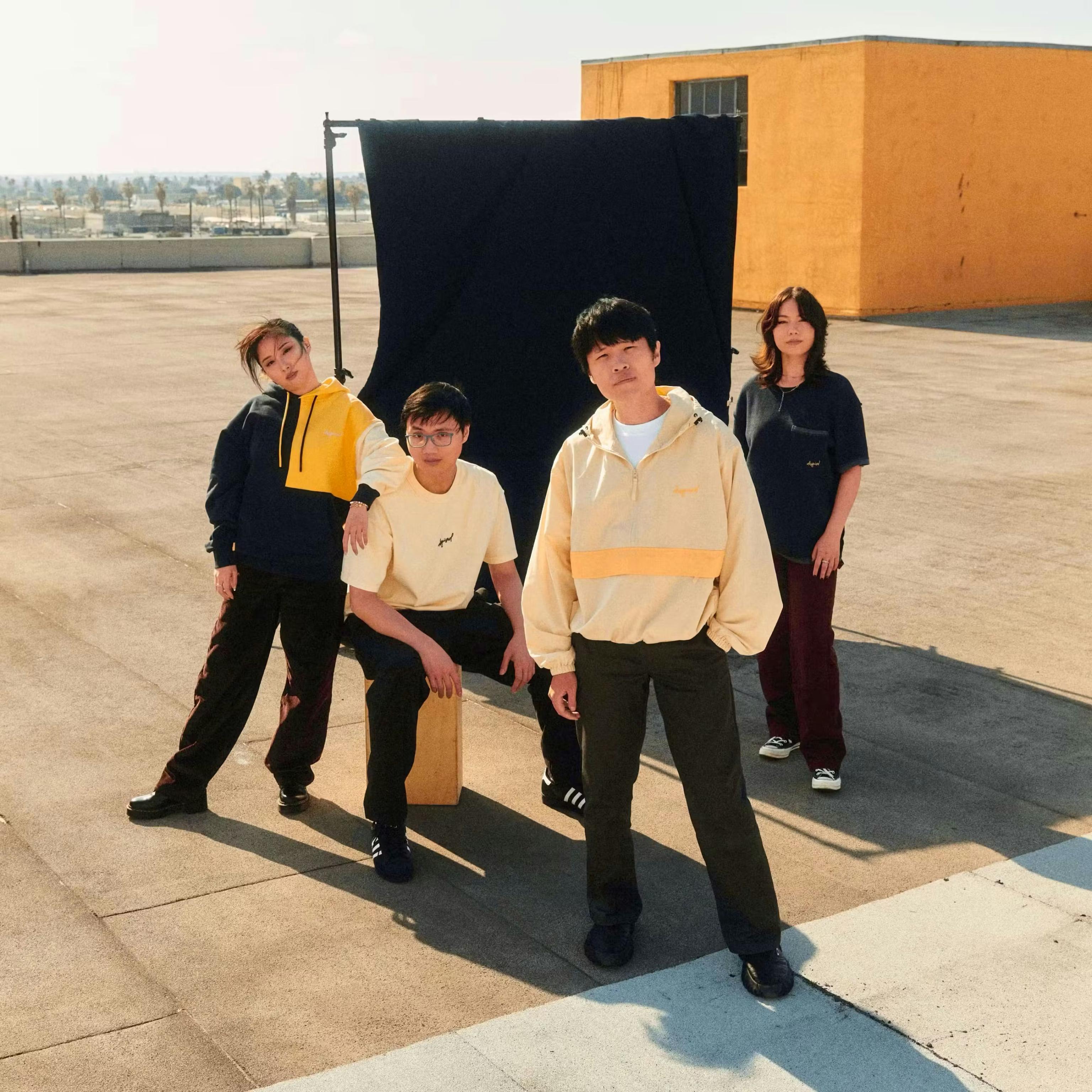 DISGUISED Project Image